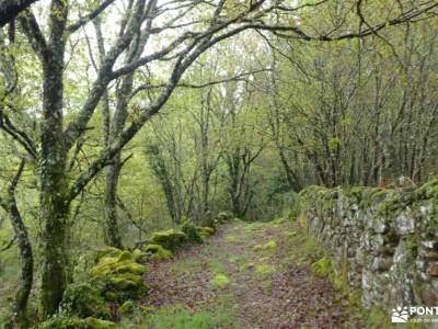 Gerês-Xurés Reserva de la Biosfera Transfronteriza - Semana Santa;serra do courel actividades single